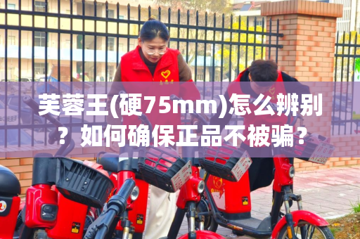 芙蓉王(硬75mm)怎么辨别？如何确保正品不被骗？